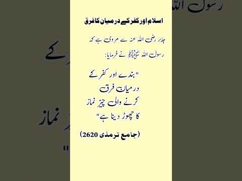 اسلام اور کفر کے درمیان کا فرق