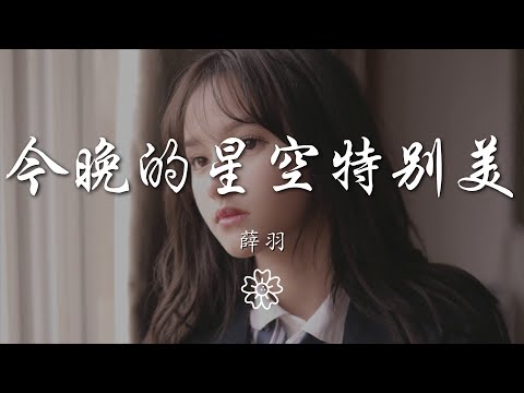 薛羽 - 今晚的星空特別美『』【動態歌詞Lyrics】