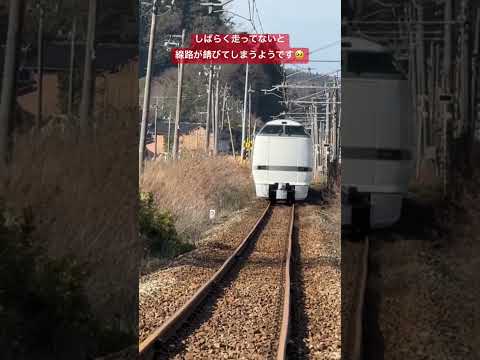 能登半島地震で立ち往生した特急