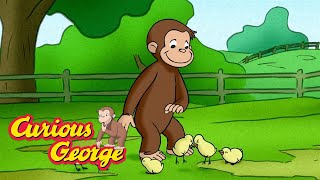 George and the Lost Chicks! 🐵 Curious George 🐵 Kids Cartoon 🐵 Kids Movies