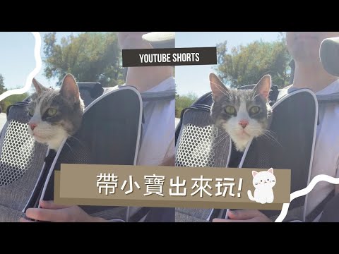 我們帶貓咪出門散步! |生活短片| 貓咪背包 #shorts