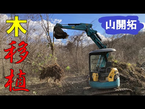 【山開拓】素人がユンボで木を移植してみた⁉