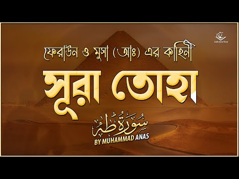 ফিরাউন ও মুসা (আঃ) এর কাহিনী - সূরা তোহা/ ত্বহা । Healing Recitation of Surah Taha (طه) By Md Anas