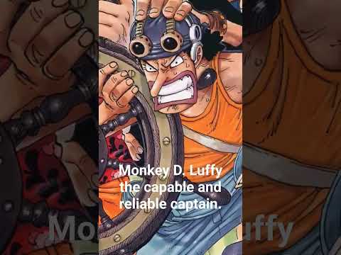 Monkey D. Luffy the capable and reliable captain. #onepiece #anime #shorts #manga #shortvideo