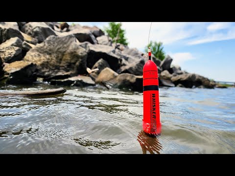 BOBBER Fishing a ROCK BANK!! (I almost lost a rod!)