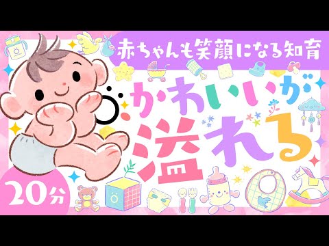 【赤ちゃんが喜ぶ音楽】かわいいが溢れる│赤ちゃんが泣き止む・笑う喜ぶ│赤ちゃんが喜ぶ歌│知育動画│0歳1歳2歳3歳　乳児・幼児向け【知育アニメ】