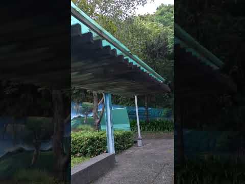 1-4 台北市文山區 文山景美運動公園 文山森林公園 趣探險之丘