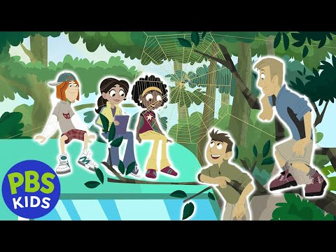 Wild Kratts | The Power of the Spider's Web | PBS KIDS