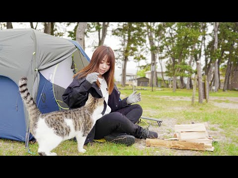 [Subtitles]甘えてくる野良猫とキャンプ