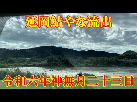 令和六年神無月二十三日　延岡鮎やな流出