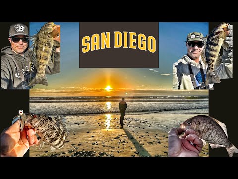 Fishing San Diego,Spotted Sand Bass & Surfperch!