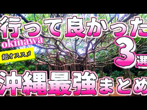 【沖縄旅行おすすめ】さぁ沖縄へ行こうっ! 北部最強おすすめスポットまとめ3選/やんばる大自然編/3 Most Recommended in Okinawa Japan Nature【沖縄観光おすすめ】