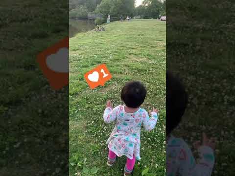 Toddler Reacting to Ducks