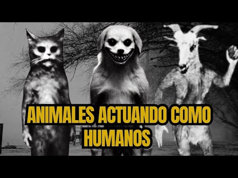 "Animales Paranormales: Relatos de Terror que Te Helarán la Sangre"