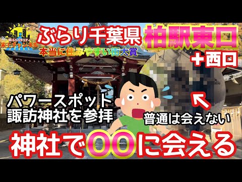 【ぶらり.千葉県】本当に住みやすい街大賞2023年6位の柏！素敵な神社で素敵な出会い💓