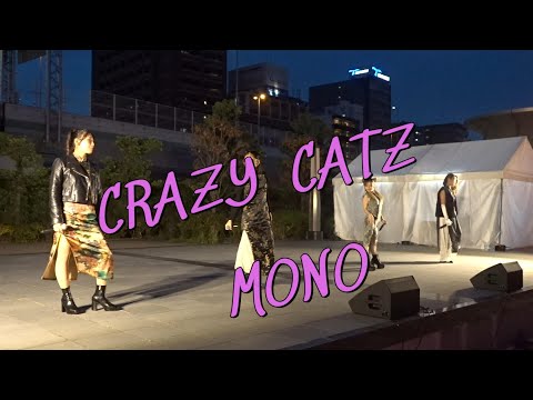 CRAZY  CATZ  　　　 MONO    　  /    　  オリジナル　　　２４・１１・１０