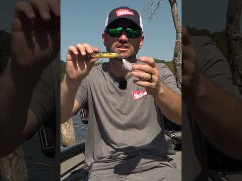 Stetson Blaylock Speaks on the Key Features of Heddons Newest Topwater!