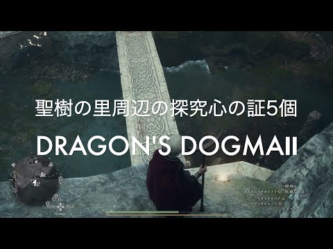 聖樹の里周辺の探究心の証5個【DRAGON'S DOGMA2 PS5】