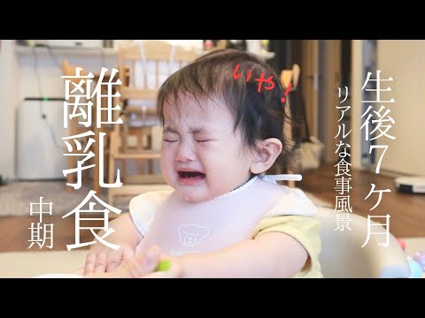 【離乳食中期】３日間に密着/モグモグ期/生後7ヶ月/二回食/奮闘記/赤ちゃん