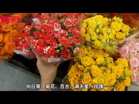 远东花市：植物爱好者又有新天堂啦！