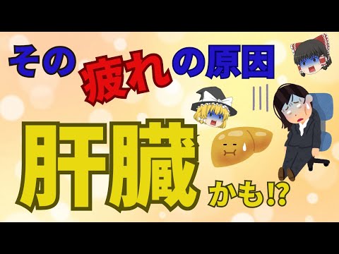 危険！最近なかなか抜けないその疲れの原因、ひょっとして肝臓かも？！お酒の飲み過ぎだけじゃない肝臓の異変　40代、50代【ゆっくり解説】