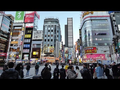 新宿歌舞伎町を歩く　トー横は厳戒態勢