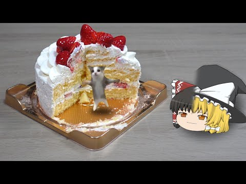 4年に1度の誕生日を祝いたい【ゆっくり実況】