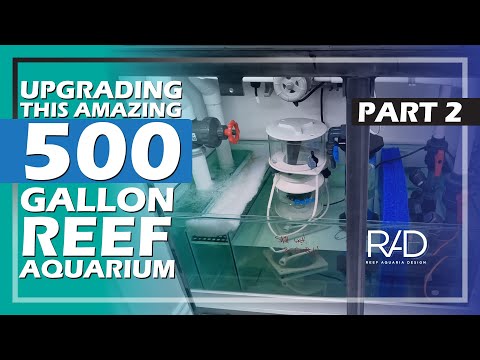 RENOVATING THIS AMAZING 500 GALLON REEF AQUARIUM - BY THE REEF AQUARIA DESIGN TEAM. PART 2.