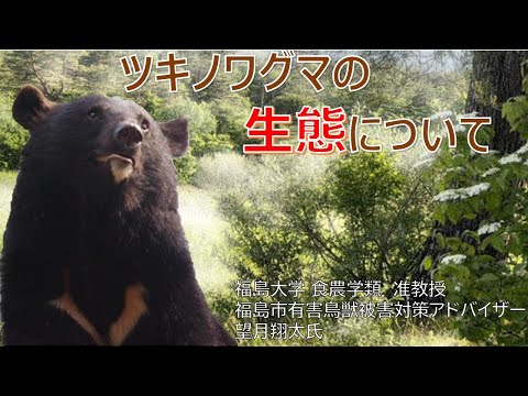 ツキノワグマの生態について