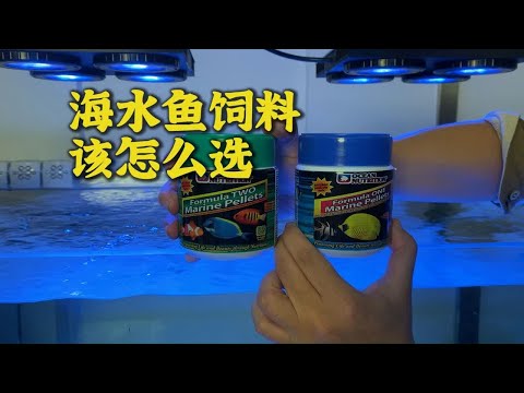 海水鱼饲料该怎么选