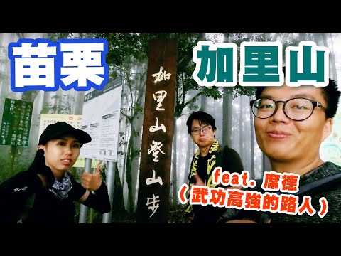 苗栗加里山/武功高強的路人帶你去爬山！/除了雲霧繚繞還是雲霧繚繞的加里山/小短腿爬山