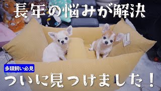 多頭飼い用に文句なし！老犬も快適ドライブベッドを購入しました！