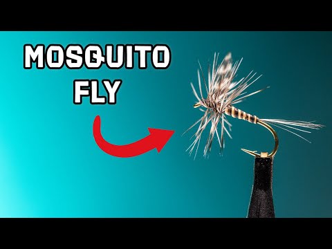 This TINY Fly Catches BIG Fish | Mosquito Fly Pattern