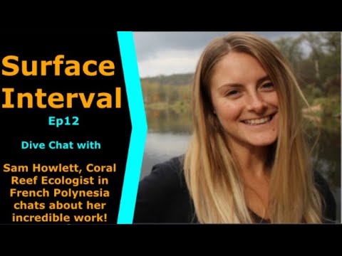 Coral Reef Research, Sam Howlett Joins us on Surface Interval 12, Parrotfish & we need more sharks!!