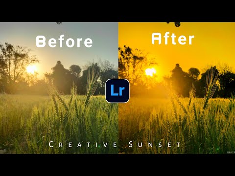 How to make PERFECT COLOUR GRADING In Lightroom App | Android | iPhone | With @editortips