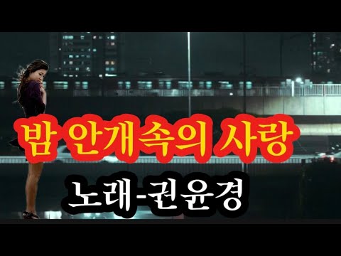 밤 안개속의 사랑-노래 권윤경