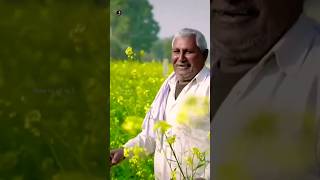 Pm Kisan 14th Instalment Date | #pmkisan #pmkisanyojana #pmkisansammannidhiyojana #pmkisanmalayalam