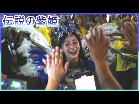 4K 大学生サンバ 可愛い 伝説の紫姫 カーニバル ウニアンメンバー 平間銀座サマーフェスタ 2023 Japanese Samba