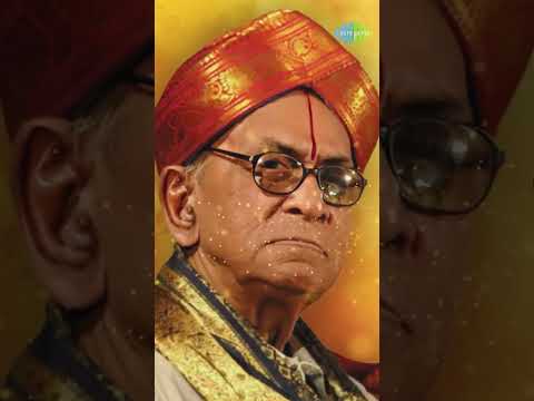 Sri Panduranga Ashtaga | P.B. Sreenivas #spiritual #devotionalmusic #saregamacarnatic #ytshorts