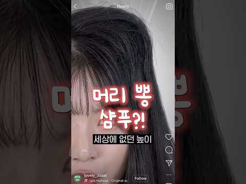 인스타 광고템..? 뽕샴푸 좋다 vs 그닥;