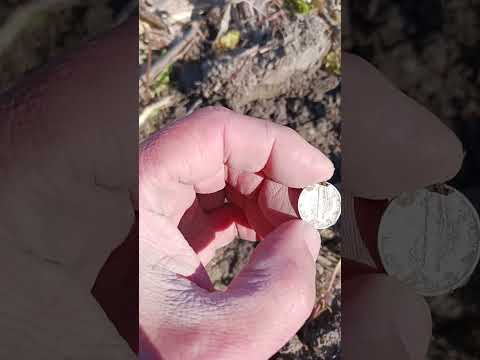 Metal Detecting Silver Coins