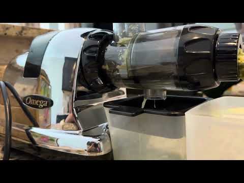 Review: Omega J8006HDC Cold Press Masticating Juicer, Chrome