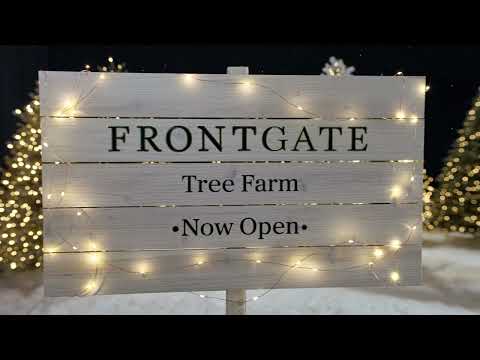 Find Your Perfect Christmas Tree | Frontgate