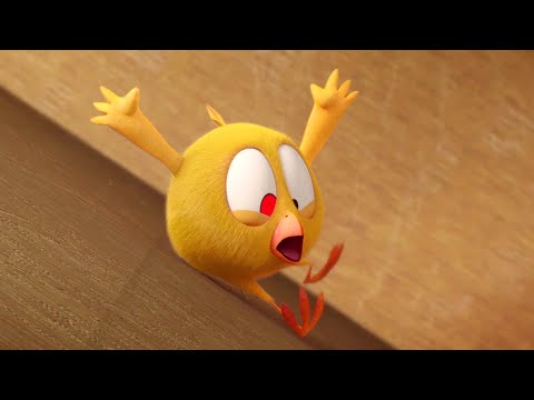 The moving maze | Where's Chicky? | Cartoon Collection in English for Kids | New episodes