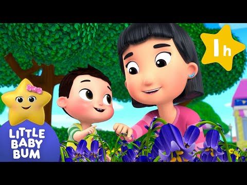 Sing-A-Song of Colours! 🎨 | Little Baby Bum | Preschool Songs | Nursery Rhymes