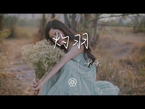 丫蛋蛋 - 灼羽『飛鳥在泥淖中尋魚的蹤跡』【動態歌詞Lyrics】