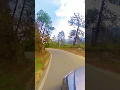 Dwarahat to Chaukhutiya road view s1 #creativelifesdvlogs #travel #nature #trip