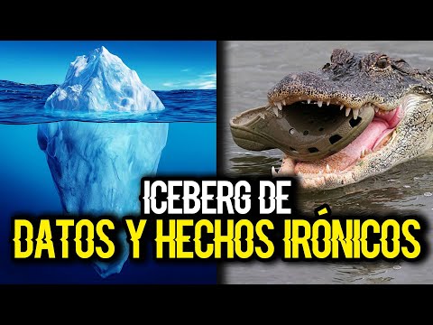 Iceberg de Datos y Hechos Irónicos Ft. @pingüinodeliceberg