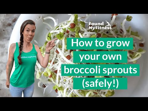 How to Grow Broccoli Sprouts