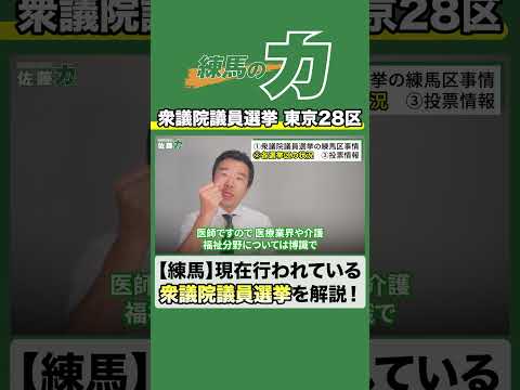 【衆議院議員選挙】東京28区について現役区議会議員が語ります【練馬】